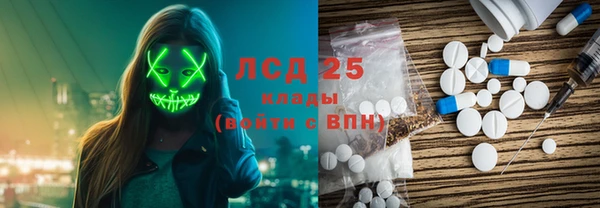 a pvp Бородино