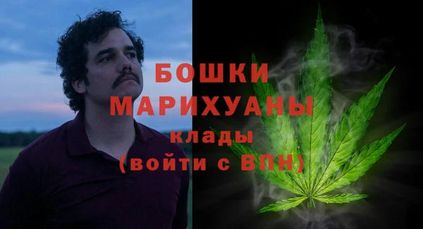 a pvp Бородино