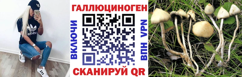 darknet какой сайт  Раменское  Галлюциногенные грибы мицелий  наркотики 
