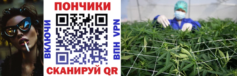 закладки  Раменское  Бошки марихуана VHQ 